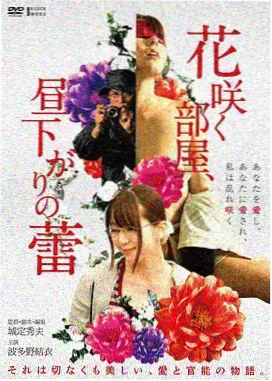 猫和老鼠海盗寻宝 剧场版动画